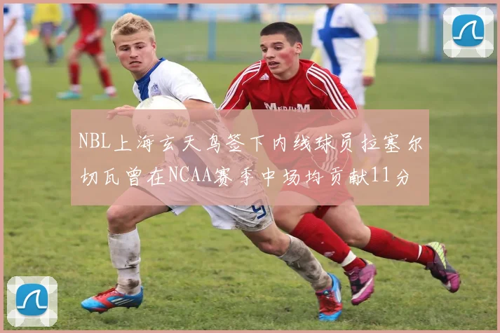 NBL上海玄天鸟签下内线球员拉塞尔切瓦曾在NCAA赛季中场均贡献11分8篮板