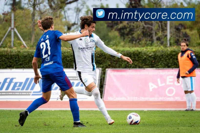 IM体育平台生态图